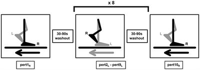 Adaptability to Balance Perturbations During Walking as a Potential Marker of Falls History in Older Adults